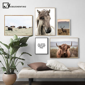 Scandinavian Poster Nordic Print Deer Horse Cattle Animal Wall Art Canvas Painting Wild Field Nature Picture Living Room Decor - SallyHomey Life's Beautiful