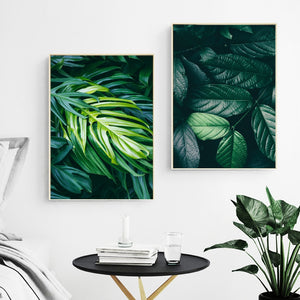 Nature Tropical Palm Leaf Monstera Wall Art Canvas Painting Nordic Posters And Prints Wall Pictures For Living Room Home Decor - SallyHomey Life's Beautiful
