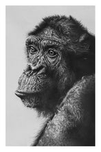 Load image into Gallery viewer, Modern Animals Wall Posters and Prints Wall Art Canvas Painting Cute Gorillas Decorative Paintings For Living Room Home Decor - SallyHomey Life&#39;s Beautiful