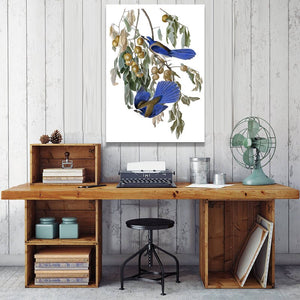 Birds of America Posters and Prints Wall Art Canvas Painting Florida Jay by John J. Audubon Decorative Pictures for Living Room - SallyHomey Life's Beautiful