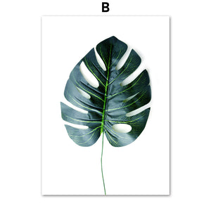 Tropical Monstera Leaf Plant Nordic Posters And Prints Wall Art Canvas Painting Scandinavian Wall Pictures For Living Room Decor - SallyHomey Life's Beautiful