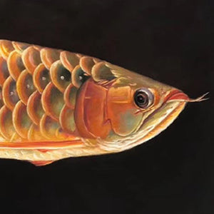 100% Hand painted Golden realistic arowana Art oil Painting On Canvas Wall Art Wall Pictures Painting For Live Room Home Decor