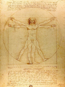 Classical Famous Painting Vitruvian Man, Study of Proportions by Leonardo da Vinci, Poster Prints Wall Art Canvas Painting Decor - SallyHomey Life's Beautiful