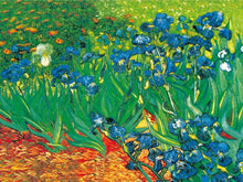 Load image into Gallery viewer, Vincent van Gogh - Irises Posters and Prints Wall Art Canvas Painting Famous Painting Decorative Pictures - SallyHomey Life&#39;s Beautiful
