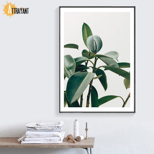 Tropical Banana Leaf Rubber Tree Wall Art Canvas Painting Nordic Posters And Prints Wall Pictures For Living Room Home Decor - SallyHomey Life's Beautiful