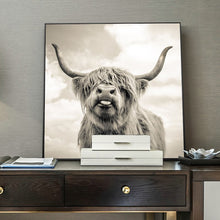 Load image into Gallery viewer, 70x70cm -  Cute Yak Pictures - SallyHomey Life&#39;s Beautiful