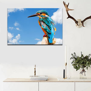Modern Birds Posters and Prints Wall Art Canvas Painting Home Decoration Colorful Kingfisher Pictures for Living Room Wall Decor - SallyHomey Life's Beautiful