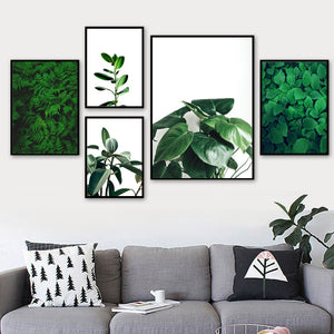 Green Fresh Ferns Leaf Indian Rubber Tree Wall Art Canvas Painting Nordic Posters And Prints Wall Pictures For Living Room Decor - SallyHomey Life's Beautiful