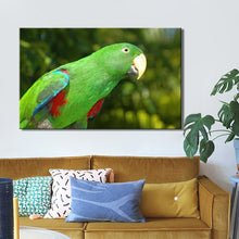 Load image into Gallery viewer, Modern Animal Posters and Prints Wall Art Canvas Painting On Canvas Home Decor Colorful Parrot Pictures For Living Room No Frame - SallyHomey Life&#39;s Beautiful
