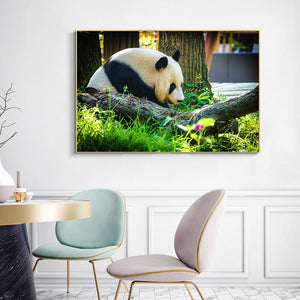 Modern Animals Posters and Prints Wall Art Canvas Painting Panda Lion Leopard Deer Tiger Horse Pictures for Living Room Decor - SallyHomey Life's Beautiful