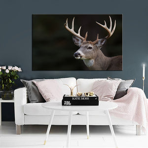 Modern Animals Posters and Prints Wall Art Canvas Painting Deer Pictures - SallyHomey Life's Beautiful