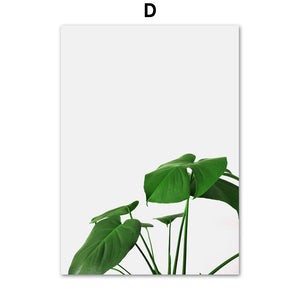 Nordic Monstera Eucalyptus Palm leaf Wall Art Print Canvas Painting Nordic Posters And Prints Wall Pictures For Living Room - SallyHomey Life's Beautiful
