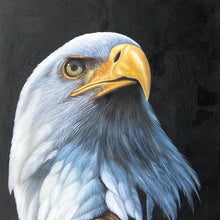 Load image into Gallery viewer, 100% Hand Painted Realistic Eagle Art Oil Painting On Canvas Wall Art Frameless Picture Decoration For Live Room Home Decor Gift