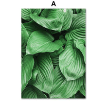 Load image into Gallery viewer, Green Hosta Plantaginea Banana Leaf Wall Art Canvas Painting Nordic Posters And Prints Wall Pictures For Living Room Home Decor - SallyHomey Life&#39;s Beautiful