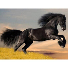 Load image into Gallery viewer, DIY 5D Diamond Painting horse Full Drill Round Diamond Embroidery Cross Stitch Kits Rhinestone Mosaic Wall Art Home Decor - SallyHomey Life&#39;s Beautiful