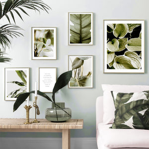 Fresh Nature Monstera Banana Leaf Wall Art Canvas Painting Nordic Posters And Prints Plant Wall Pictures For Living Room Decor - SallyHomey Life's Beautiful