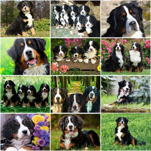 DIY 5D Diamond Painting Bernese Mountain Dog Cross Stitch Patterns Animal Mosaic Embroidery Puppy Kit Full Round Rhinestone Gift - SallyHomey Life's Beautiful