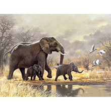 Load image into Gallery viewer, DIY 5D Diamond Painting Elephant Animal Diamond Embroidery Cross Stitch Kits Full Round Drill Mosaic Rhinestones Home Decor Gift