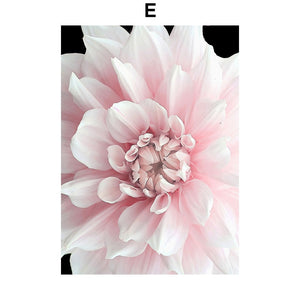 Pink Petal Dahlia Daisy Rose Nature Plant Nordic Posters And Prints Wall Art Canvas Painting Pictures For Home Design Bedroom - SallyHomey Life's Beautiful