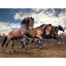 Load image into Gallery viewer, DIY 5D Diamond Painting horse Full Drill Round Diamond Embroidery Cross Stitch Kits Rhinestone Mosaic Wall Art Home Decor - SallyHomey Life&#39;s Beautiful