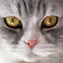 Load image into Gallery viewer, DIY 5D Diamond Painting Cat Eye Cross Stitch Diamond Embroidery Sale Animal Mosaic Rhinestones Full Drill Drill Handmade Decor - SallyHomey Life&#39;s Beautiful