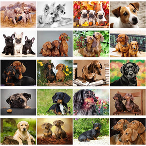 DIY 5D Diamond Painting Dog Diamond Embroidery Cute Dachshund Dogs Animal Mosaic Cross Stitch Full Round Rhinestone Decor Home - SallyHomey Life's Beautiful