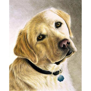 DIY 5D Diamond Painting Golden Retriever Dog Full Round Drill Cross Stitch Diamond Embroidery Animal Mosaic Rhinestones Decor