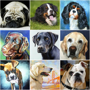 DIY 5D Diamond Painting Dog Labrador Animal Diamond Embroidery Cross Stitch Kit Full Round Mosaic Pictures Rhinestone Home Decor