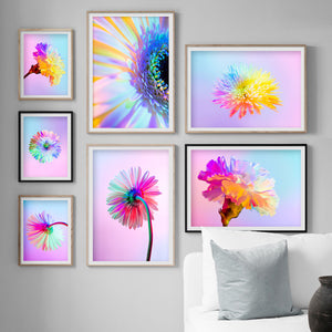 Chrysanthemum Carnation Colorful Flower Wall Art Canvas Painting Nordic Posters And Prints Wall Pictures For Living Room Decor - SallyHomey Life's Beautiful