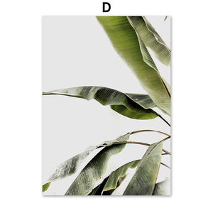 Fresh Nature Monstera Banana Leaf Wall Art Canvas Painting Nordic Posters And Prints Plant Wall Pictures For Living Room Decor - SallyHomey Life's Beautiful