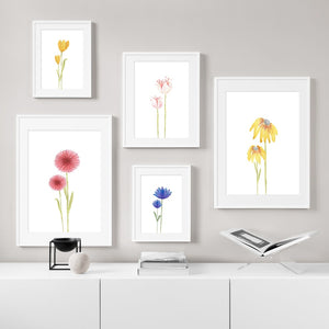 Colorful Dandelion Tulip Lotus Daisy Wall Art Canvas Painting Nordic Posters And Prints Wall Pictures For Living Room Home Decor - SallyHomey Life's Beautiful