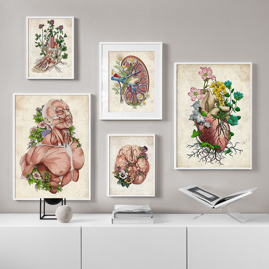 Anatomy Muscle Flower Vintage Poster Wall Art Canvas Painting Nordic P ...