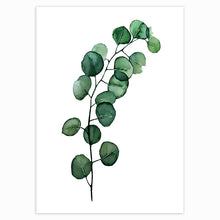 Load image into Gallery viewer, Scandinavian Style Tropical Plants Poster Green Leaves Decorative Picture Modern Wall Art Paintings for Living Room Home Decor - SallyHomey Life&#39;s Beautiful