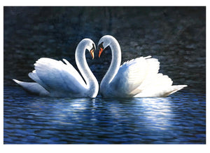 100% Hand Painted Abstract White Swan Oil Painting On Canvas Wall Art Frameless Picture Decoration For Live Room Home Decor Gift