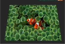 Load image into Gallery viewer, world clownfish floor - SallyHomey Life&#39;s Beautiful