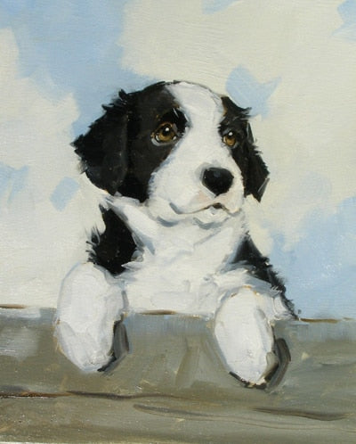 portrait of a border collie puppy / dog ORIGINAL art -TOP art oil painting--24 inch painting # TOP animal HOME  art ON CANVAS