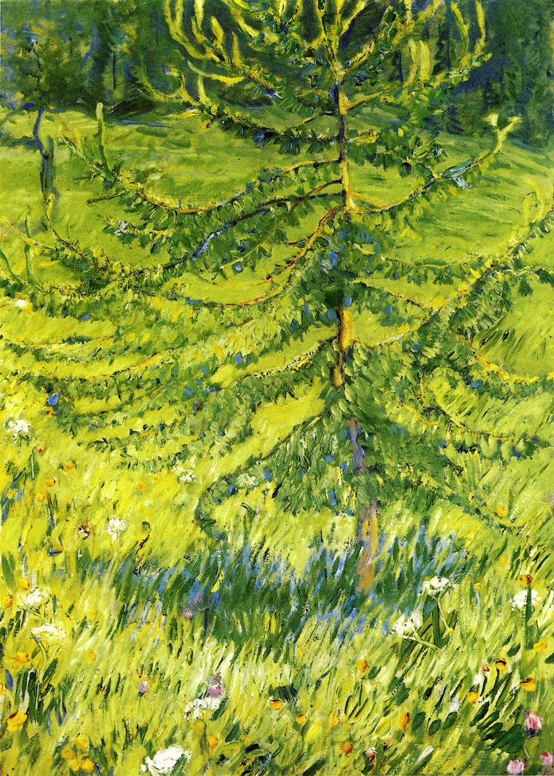 100% handmade Oil Painting reproduction on linen canvas,larch-sapling-1908 by Franz Marc,Free Shipping,High Quality