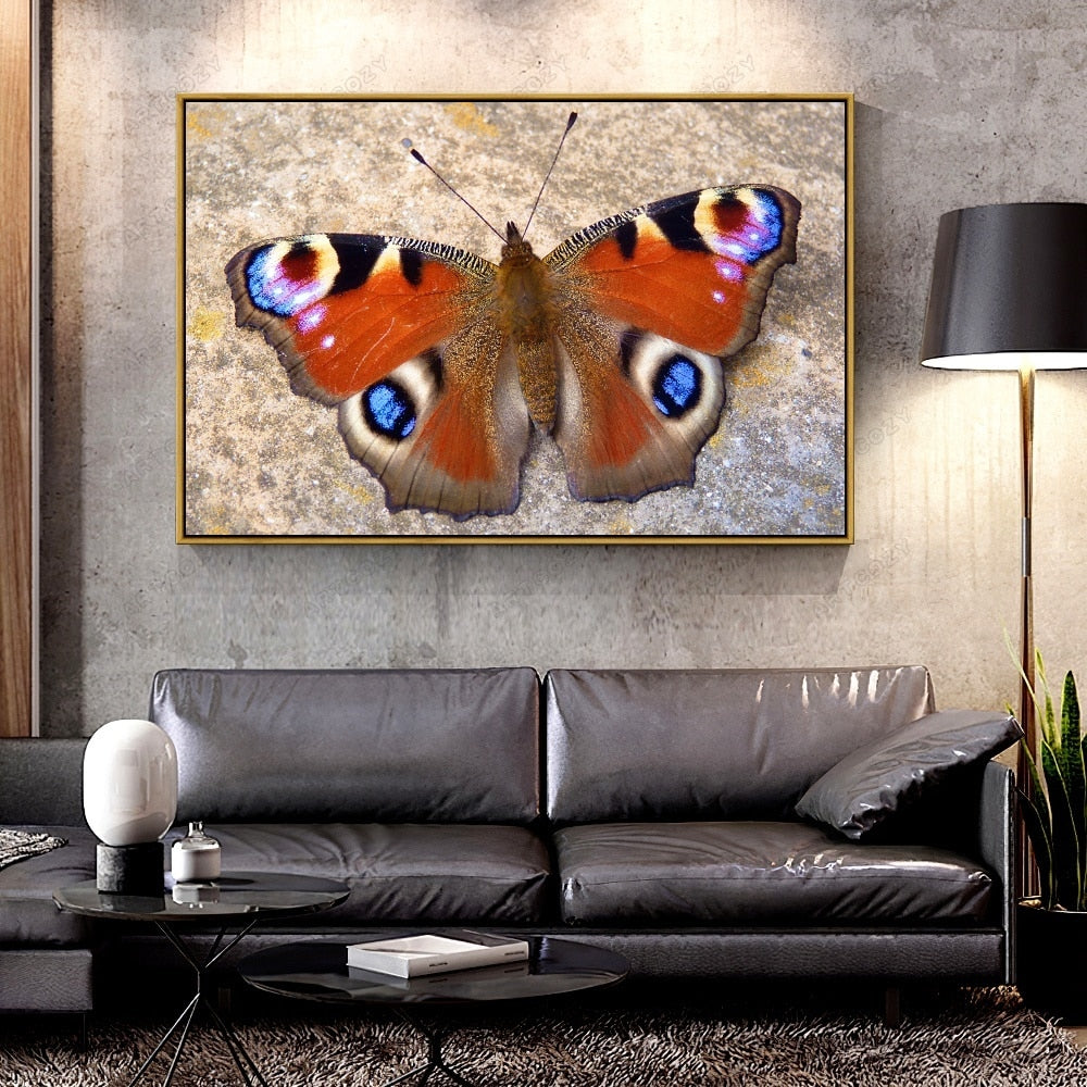 Oil Canvas Painting colorful butteryfly  For Home Decoration Wall Art