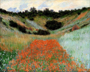 High quality Oil painting Canvas Reproductions Poppy Field in a Hollow near Giverny (1885  By Claude Monet Painting hand painted