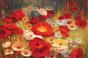 Hot sell famous oil painting flower Meadow Poppies I  by Shirley Novak Painting canvas High quality hand painted modern Art
