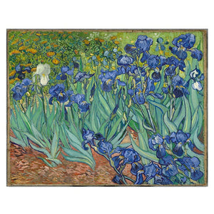100% Hand Painted Oil Famous Artist Van Gogh Oil Painting Flower Landscape Canvas Painting Wall Decor Large Size Without Frame