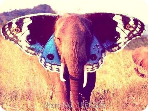 oil painting to sale pictures to paint canvas paintings elephant oil painting Handmade Oil Art Painting on Canvas