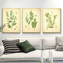 Load image into Gallery viewer, Nordic Style 3 Pcs Home Decor Canvas Painting Green Leaf Plants Print Wall Art Pictures for Living Room Minimalism Poster