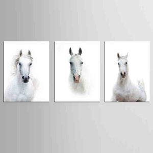 3 Pcs/Set Artist Canvas animal Prints The white horse Wall art Pictures for Living Room home decorative art picture