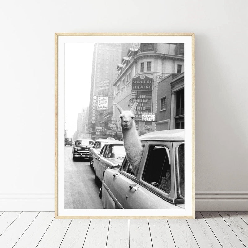 Llama in a taxi on Times Square Canvas Print and Poster Vintage llama Print New York City Photo Picture Wall Art Home Decor - SallyHomey Life's Beautiful