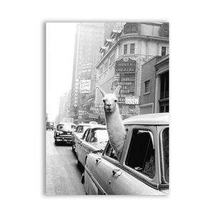 Llama in a taxi on Times Square Canvas Print and Poster Vintage llama Print New York City Photo Picture Wall Art Home Decor - SallyHomey Life's Beautiful