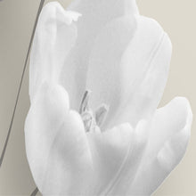 Load image into Gallery viewer, 3D Stereo Tulip Butterfly Flowers Wall Painting - SallyHomey Life&#39;s Beautiful